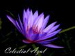 Positive Thinking Can Impact Your Health- Find Out How at the...